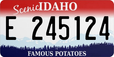 ID license plate E245124