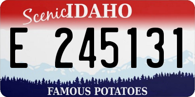 ID license plate E245131