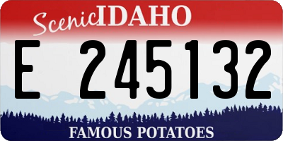 ID license plate E245132