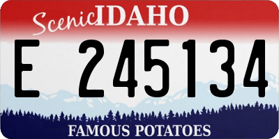 ID license plate E245134