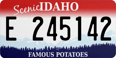 ID license plate E245142