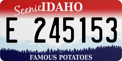 ID license plate E245153
