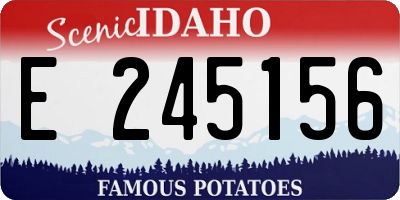 ID license plate E245156
