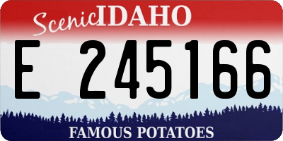 ID license plate E245166