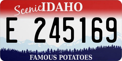 ID license plate E245169