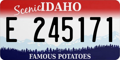 ID license plate E245171