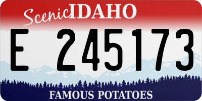ID license plate E245173