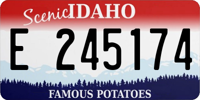 ID license plate E245174
