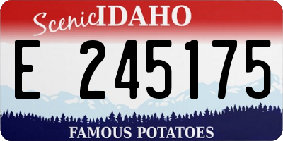 ID license plate E245175