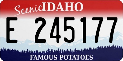 ID license plate E245177