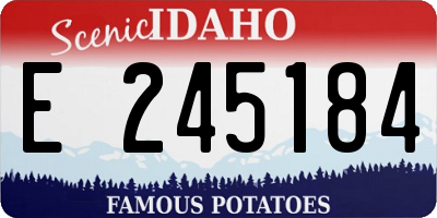 ID license plate E245184