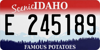 ID license plate E245189
