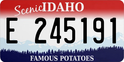 ID license plate E245191