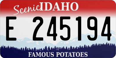 ID license plate E245194