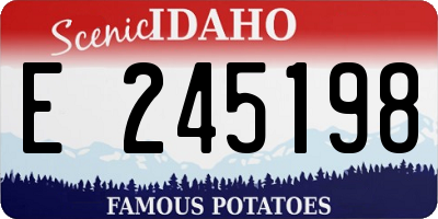 ID license plate E245198