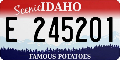 ID license plate E245201