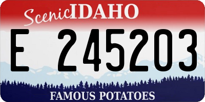 ID license plate E245203