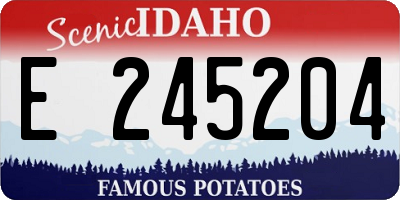 ID license plate E245204