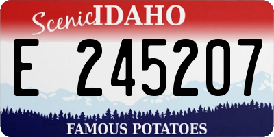ID license plate E245207