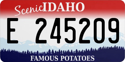 ID license plate E245209