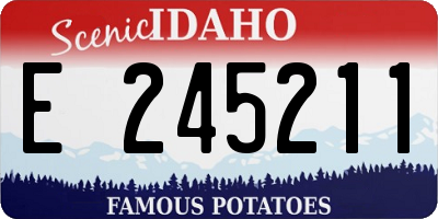 ID license plate E245211