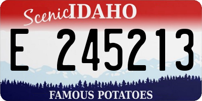 ID license plate E245213