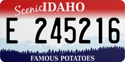 ID license plate E245216