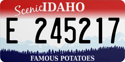 ID license plate E245217