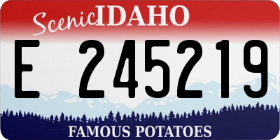 ID license plate E245219