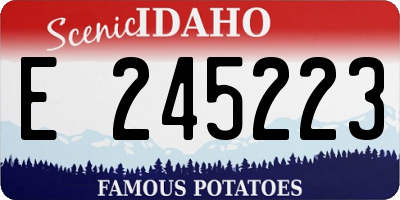 ID license plate E245223