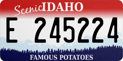 ID license plate E245224