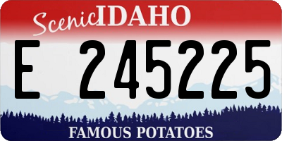 ID license plate E245225