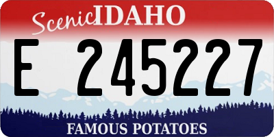 ID license plate E245227