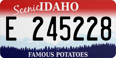 ID license plate E245228