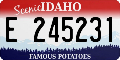 ID license plate E245231
