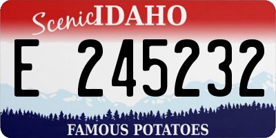ID license plate E245232