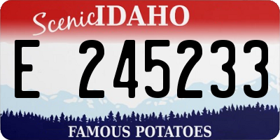 ID license plate E245233