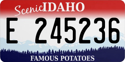 ID license plate E245236