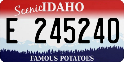 ID license plate E245240