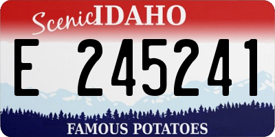 ID license plate E245241