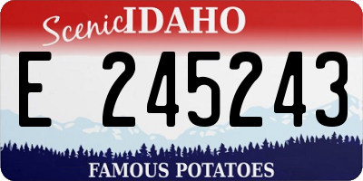 ID license plate E245243