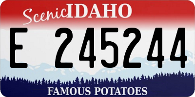 ID license plate E245244