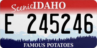 ID license plate E245246