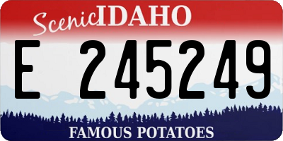 ID license plate E245249