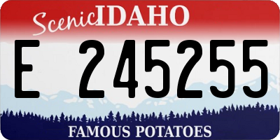 ID license plate E245255