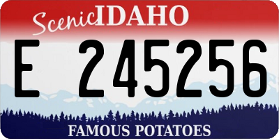 ID license plate E245256