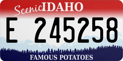 ID license plate E245258