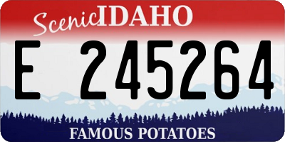 ID license plate E245264