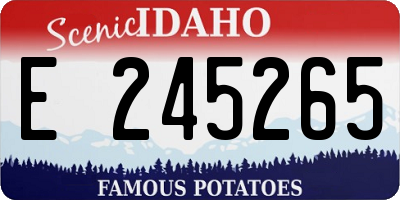 ID license plate E245265