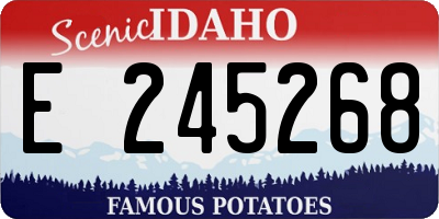 ID license plate E245268